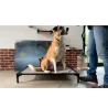 DOG BED SMALL 64 Cm X 44 Cm